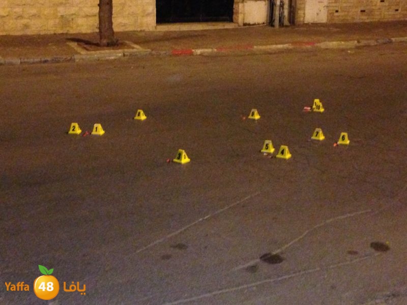 fireludmidnight530 (2).jpg